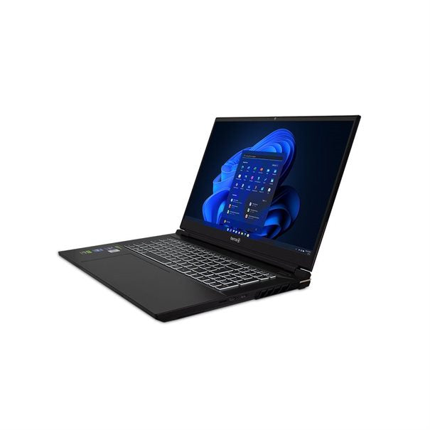 TERRA MOBILE GAMER ELITE Intel i9-14900HX - 32Go de RAM - SSD 2To - RTX4070-TERRA