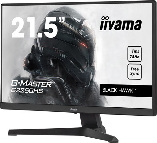 Ecran PC IIYAMA G2250HS-B1-IIYAMA